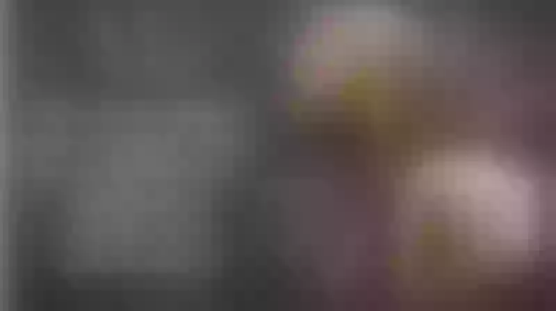 Live sex webcam photo for CahitlinBel #5438658