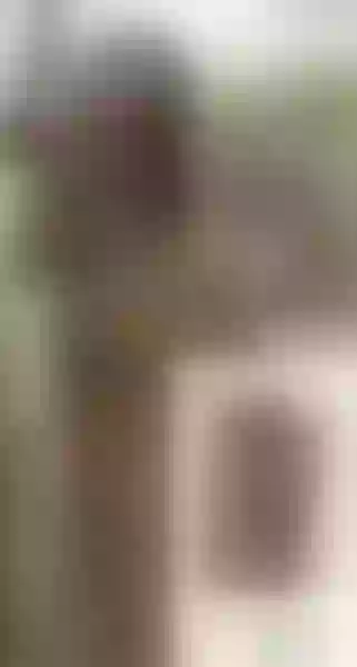 Live sex webcam photo for CahitlinBel #5332760
