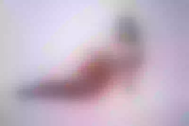 Live sex webcam photo for BellaHills #5649920
