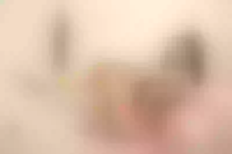 Live sex webcam photo for AkiraIris #5270049