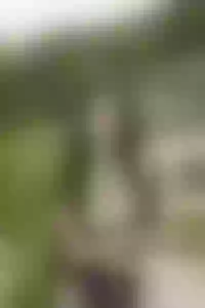 Live sex webcam photo for MaddisonJane #5465203