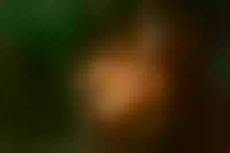 Live sex webcam photo for AmberRooss #6228021