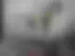 Live sex webcam photo for AmberRooss #6278494