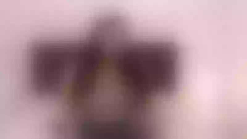 Live sex webcam photo for TessBeaker #5342889