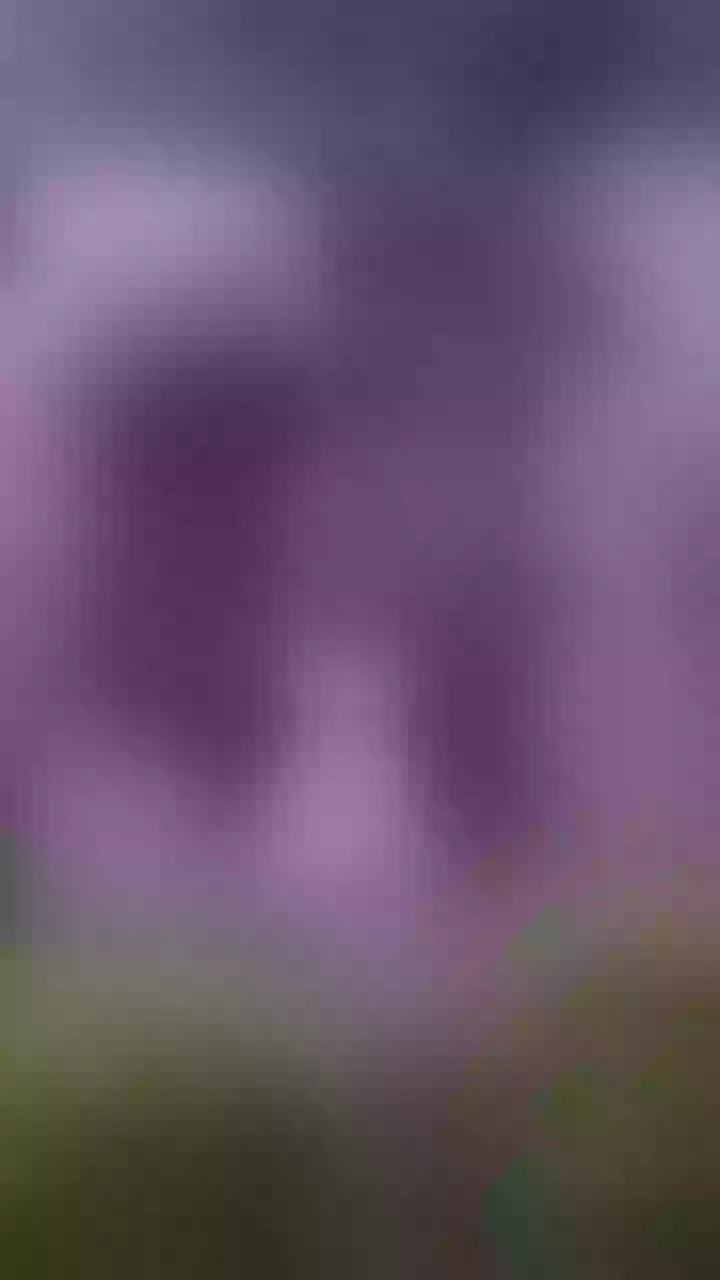 Live sex webcam photo for JulietaKennedy #7996455