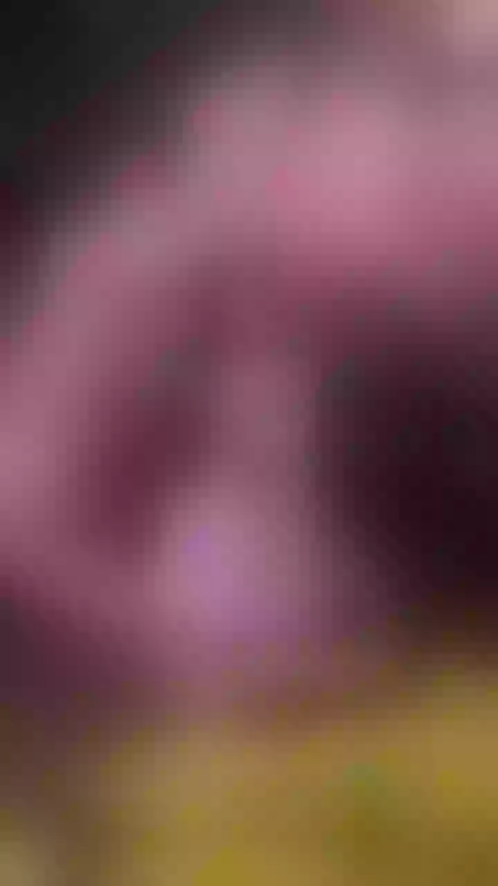 Live sex webcam photo for JulietaKennedy #7996453