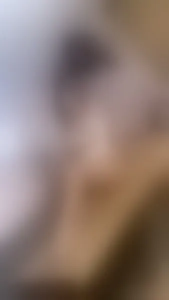 Live sex webcam photo for RachellLewin #5303552