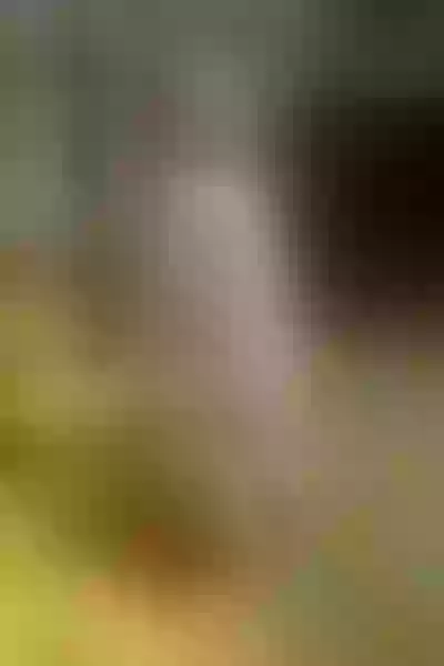 Live sex webcam photo for EmilyScoot #5463115