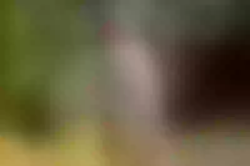 Live sex webcam photo for EmilyScoot #5463117