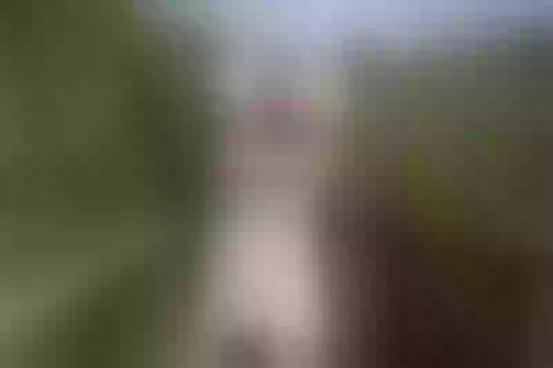 Live sex webcam photo for AstridStorm #8548764