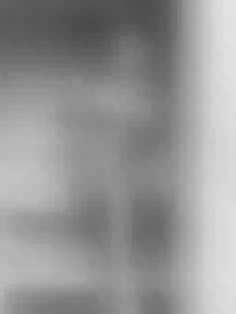 Live sex webcam photo for AstridStorm #8548789