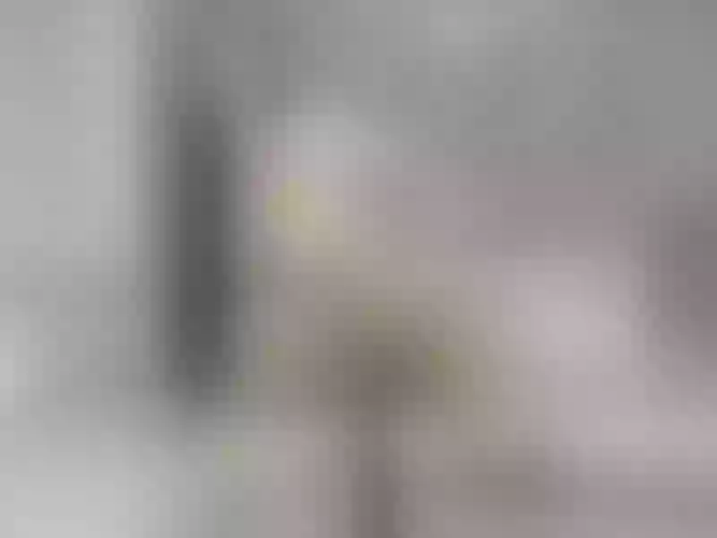 Live sex webcam photo for AbbyHadid #5351843