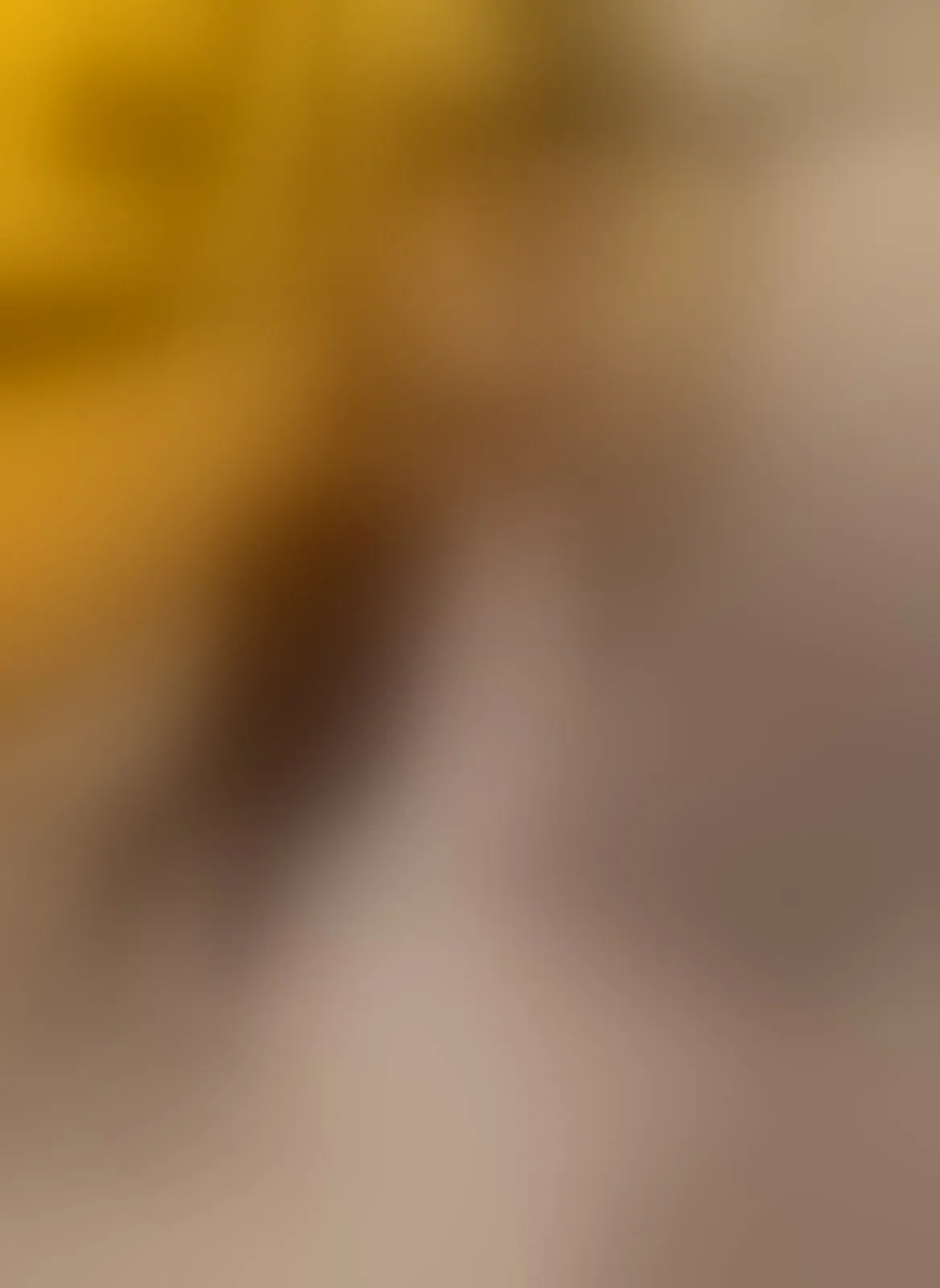 Live sex webcam photo for Helamilf #8552583