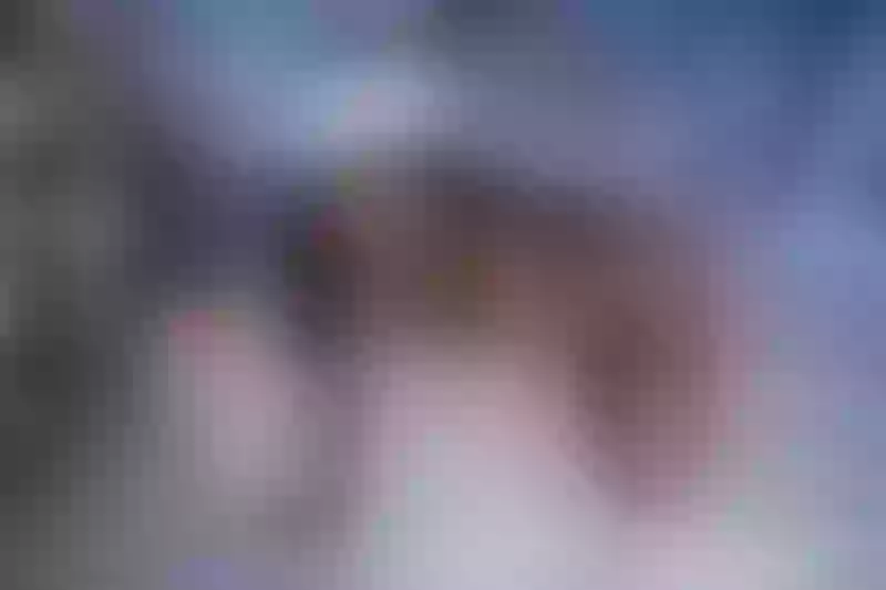 Live sex webcam photo for LizyTaylor #6597627