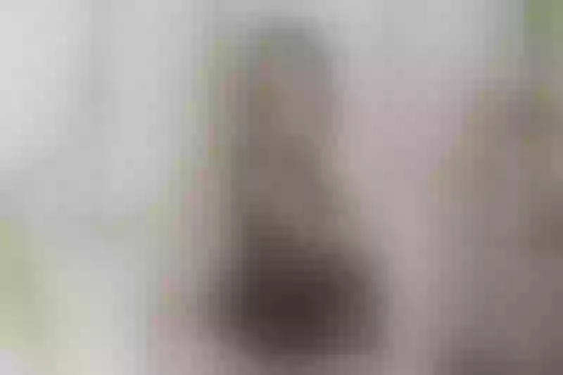 Live sex webcam photo for EvaCopper #5380429