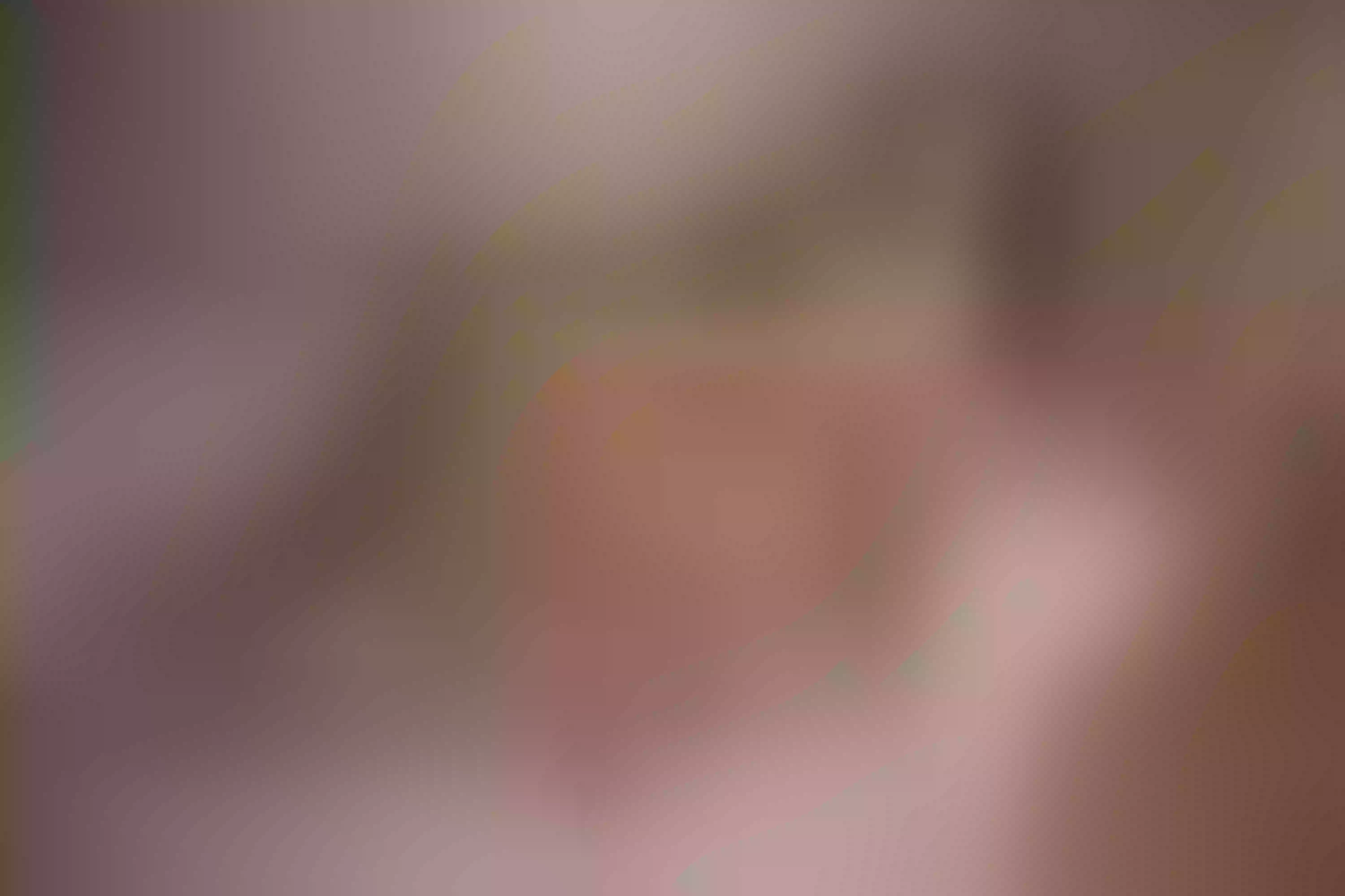 Live sex webcam photo for Lolasweetx #8136815