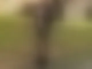 Live sex webcam photo for BustyMollyy #8450157