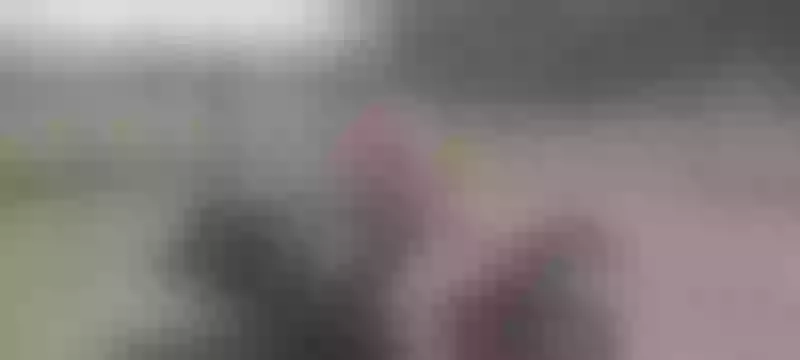 Live sex webcam photo for ARTEMISLEON #5407740