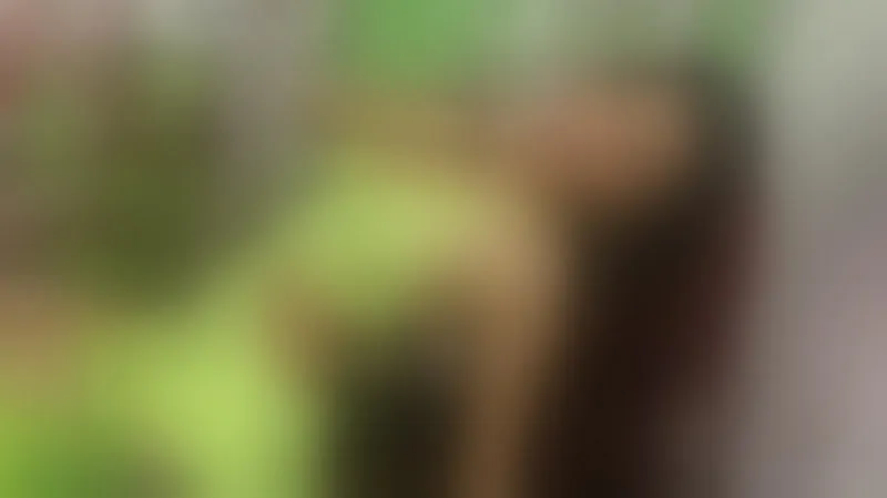 Live sex webcam photo for Chloeesaenzz #6018444