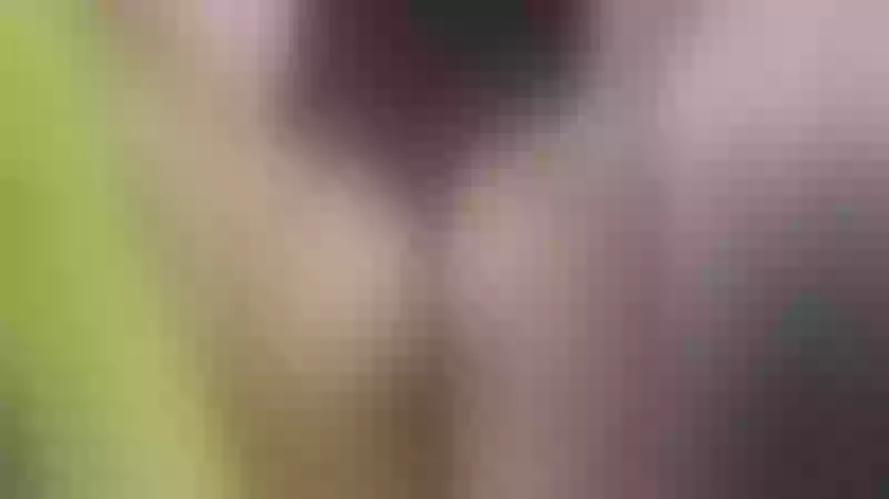 Live sex webcam photo for sammyRiiveraa #5395326