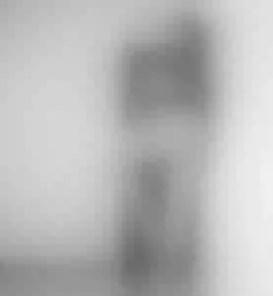 Live sex webcam photo for EmilyWill #5386167