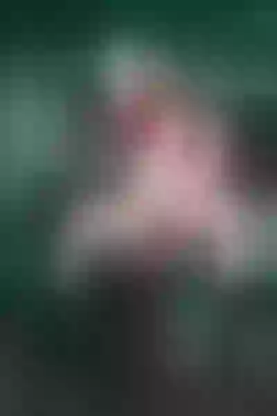 Live sex webcam photo for AlishaAdamsonn #5465336