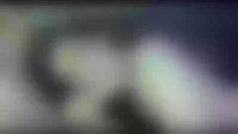 Live sex webcam photo for LIAAPALMER #5522670