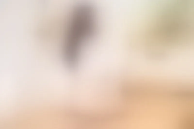 Live sex webcam photo for MonseratDiaz #5378397
