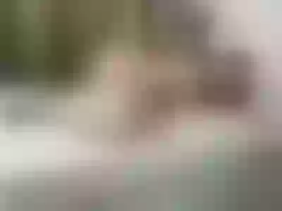 Live sex webcam photo for LissaBrair #7116827