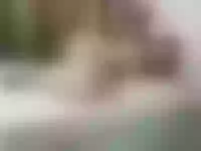 Live sex webcam photo for LissaBrair #7116829