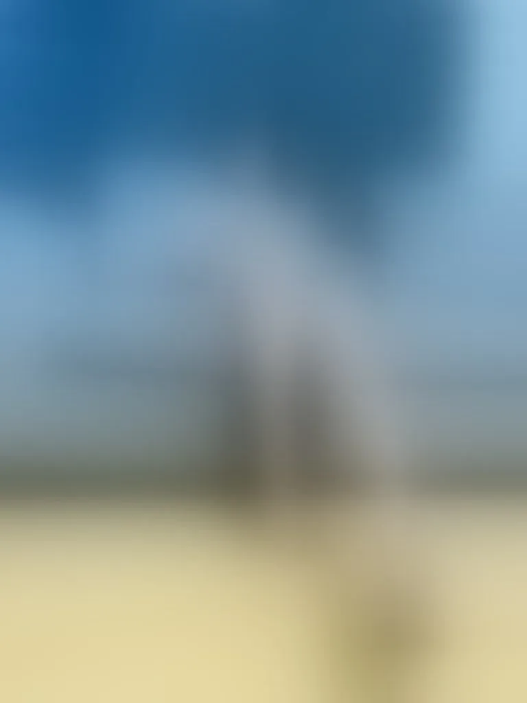 Live sex webcam photo for KristalHorny19 #7372699