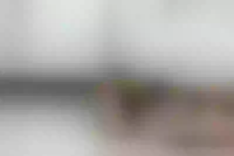Live sex webcam photo for CarleneRot19 #5417112