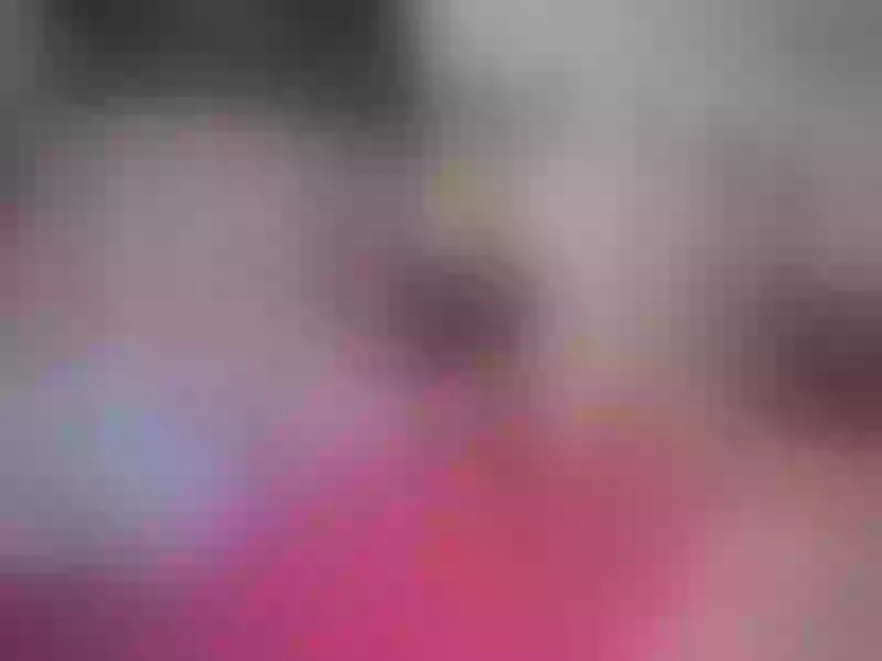 Live sex webcam photo for coralsteves #5682949