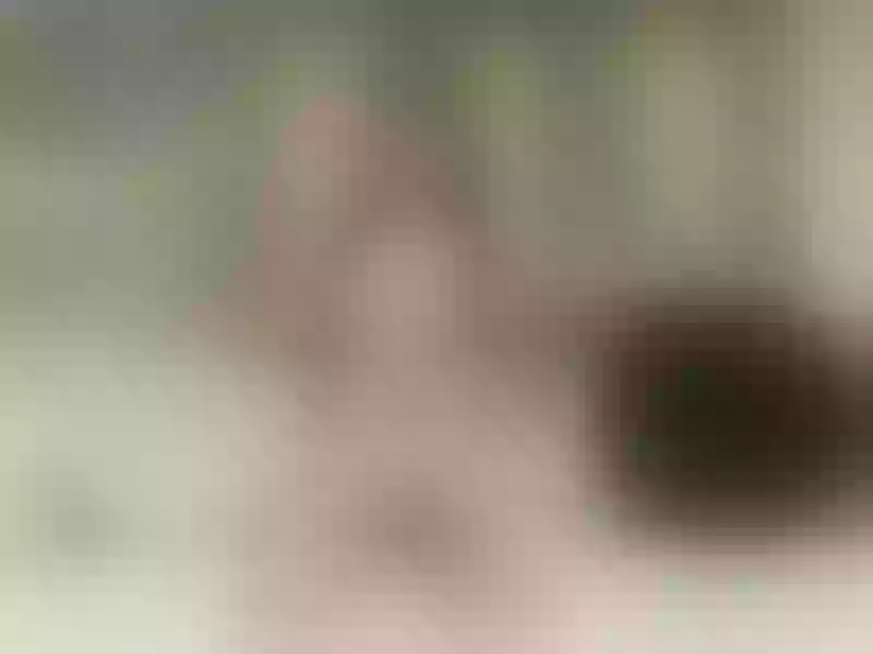 Live sex webcam photo for SofiiWeb #5506648