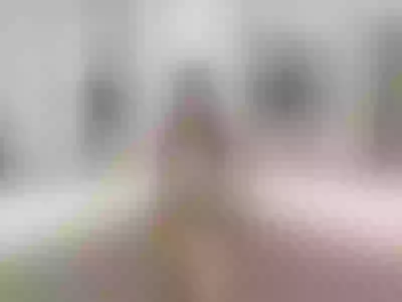 Live sex webcam photo for SofiiWeb #5506646