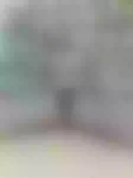Live sex webcam photo for CataleyaGuzman #5442543