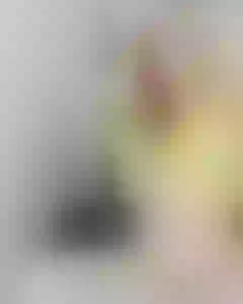 Live sex webcam photo for SashaaBell #5664404