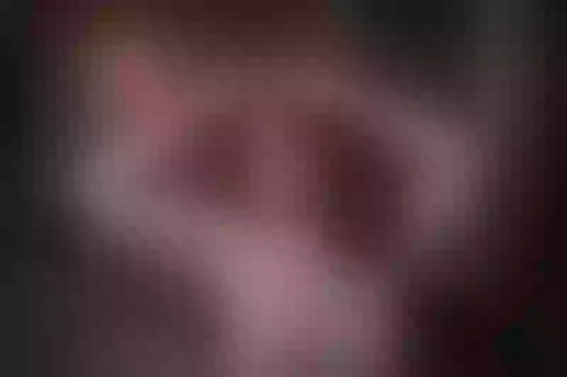 Live sex webcam photo for Annacambel #5675231
