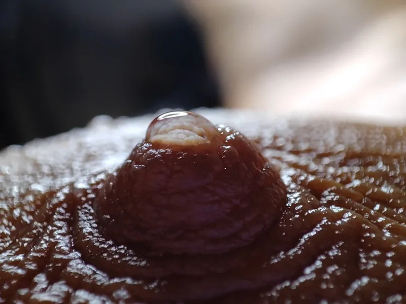 Live sex webcam photo for PaulinaCastro #5879700