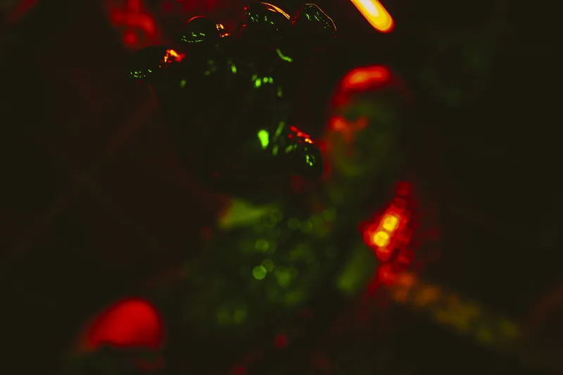 Live sex webcam photo for MadelineDeVil #5460639