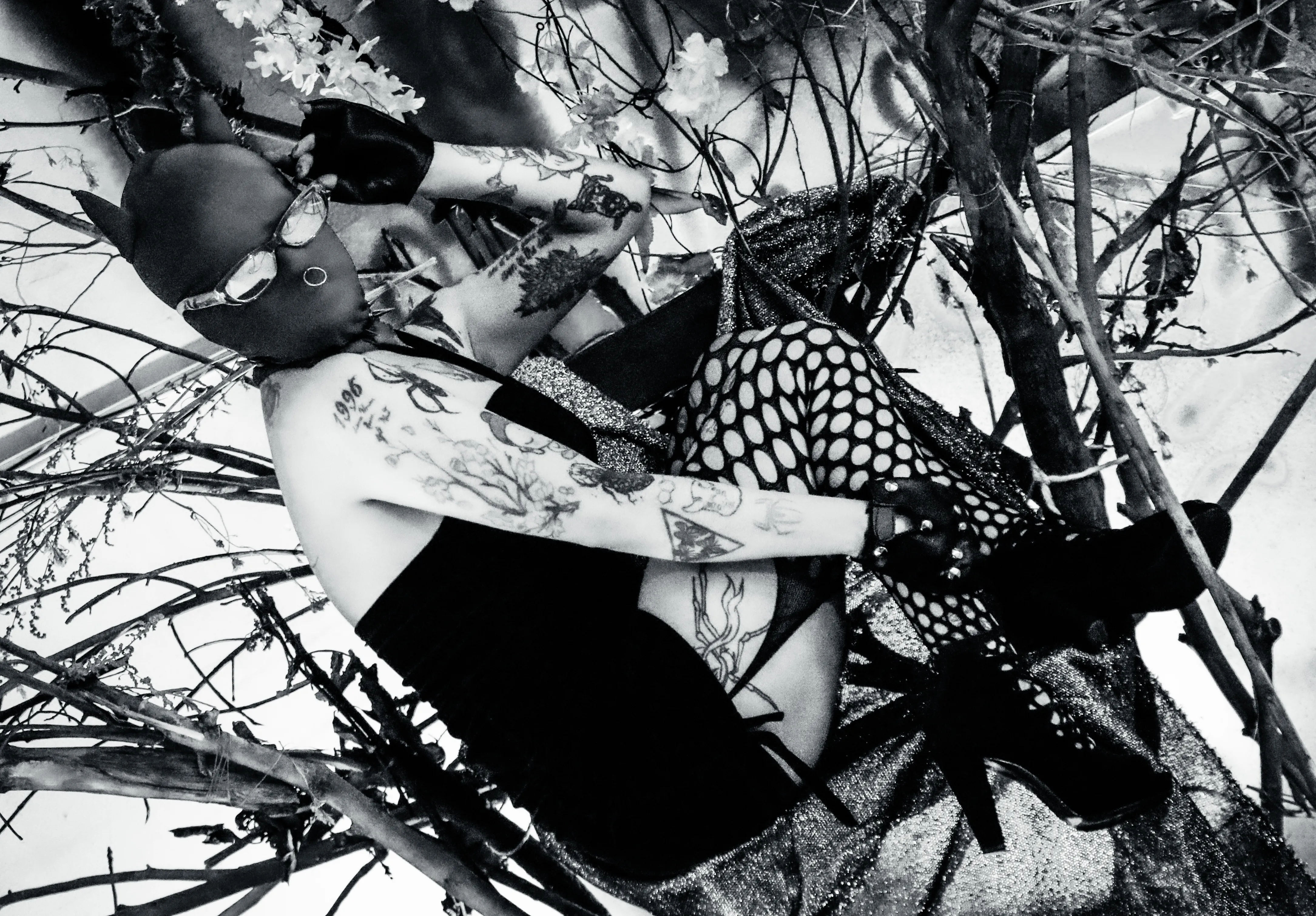 Live sex webcam photo for AmySpider #8005566