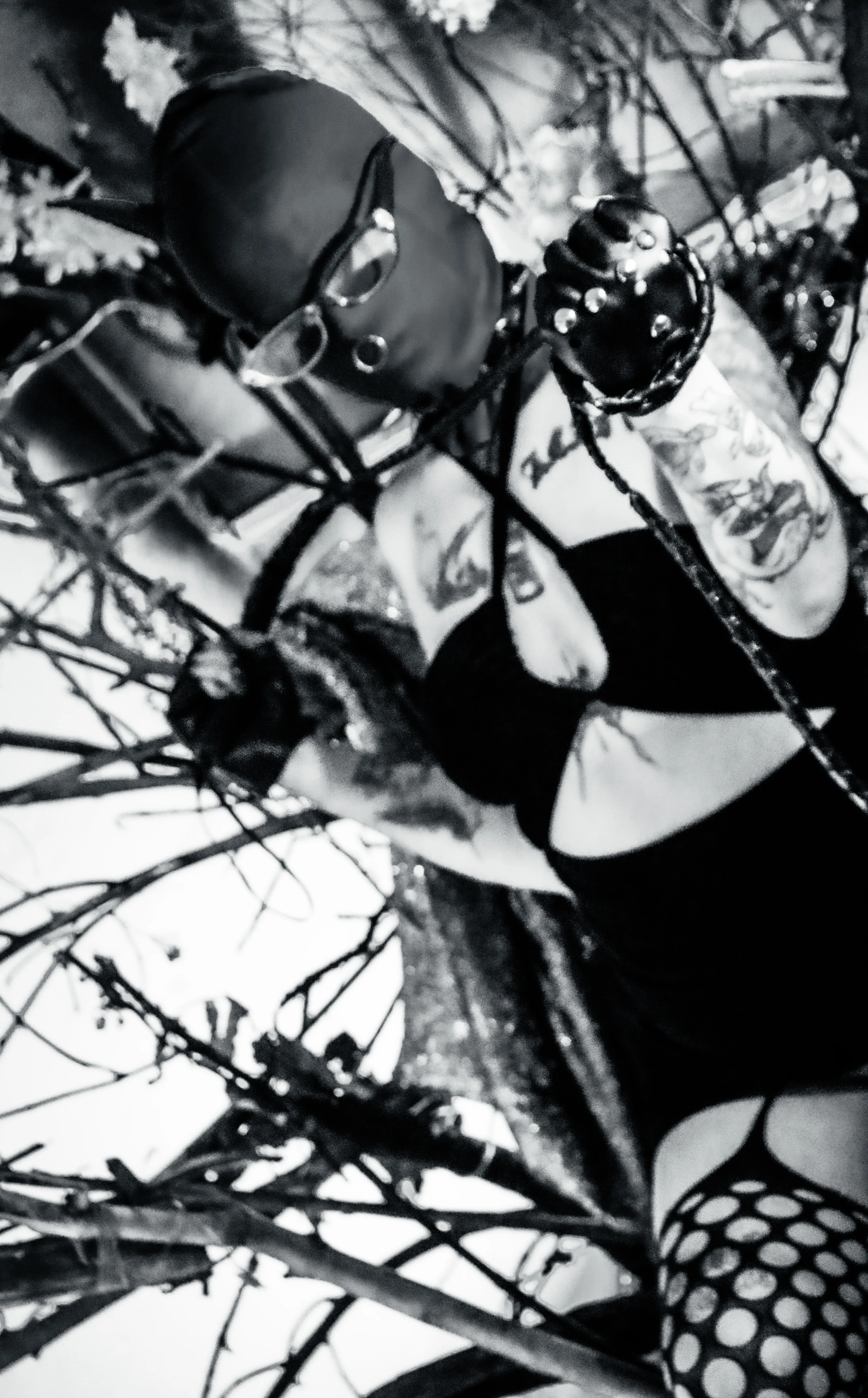 Live sex webcam photo for AmySpider #8005587