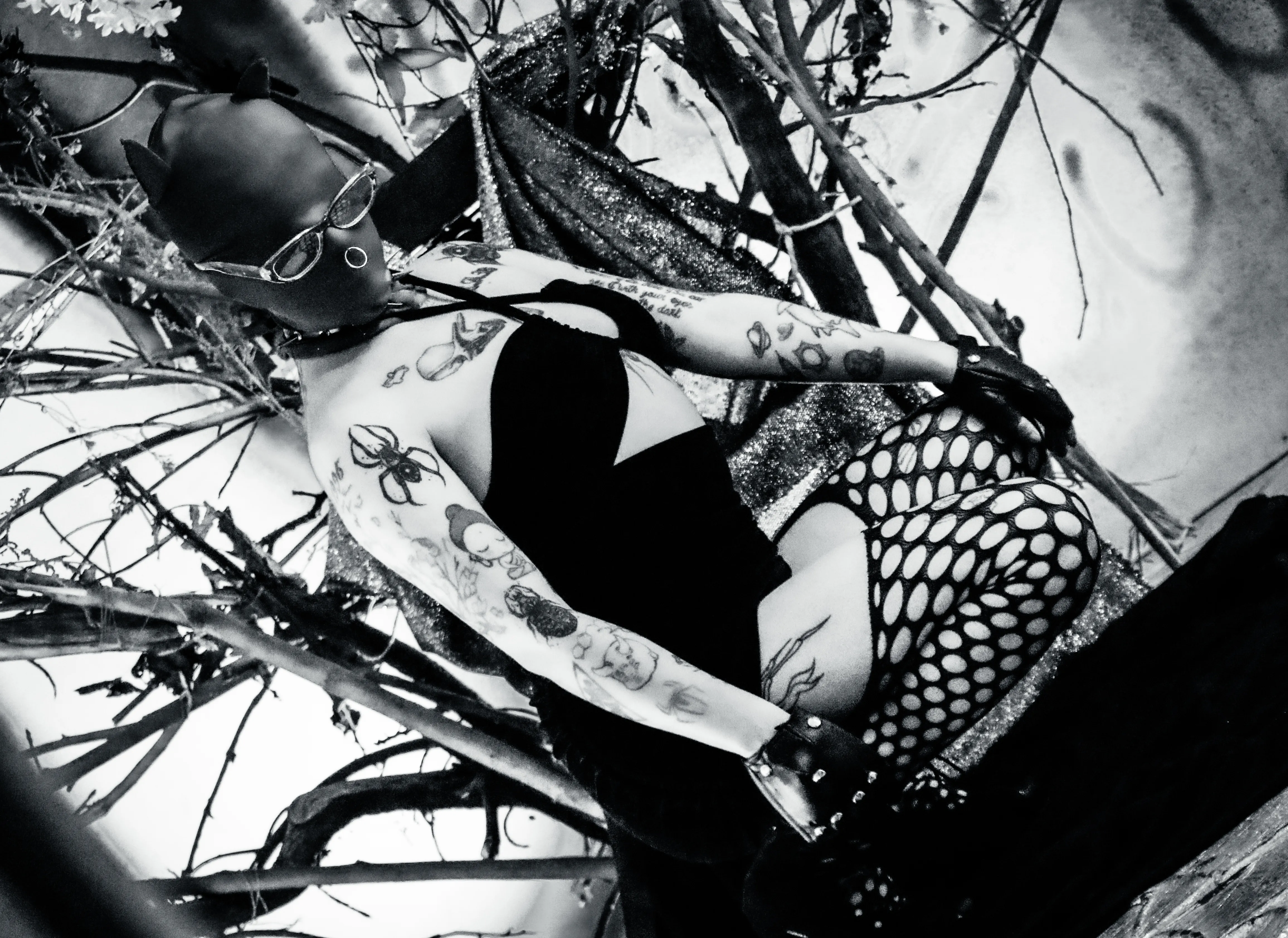 Live sex webcam photo for AmySpider #8005568