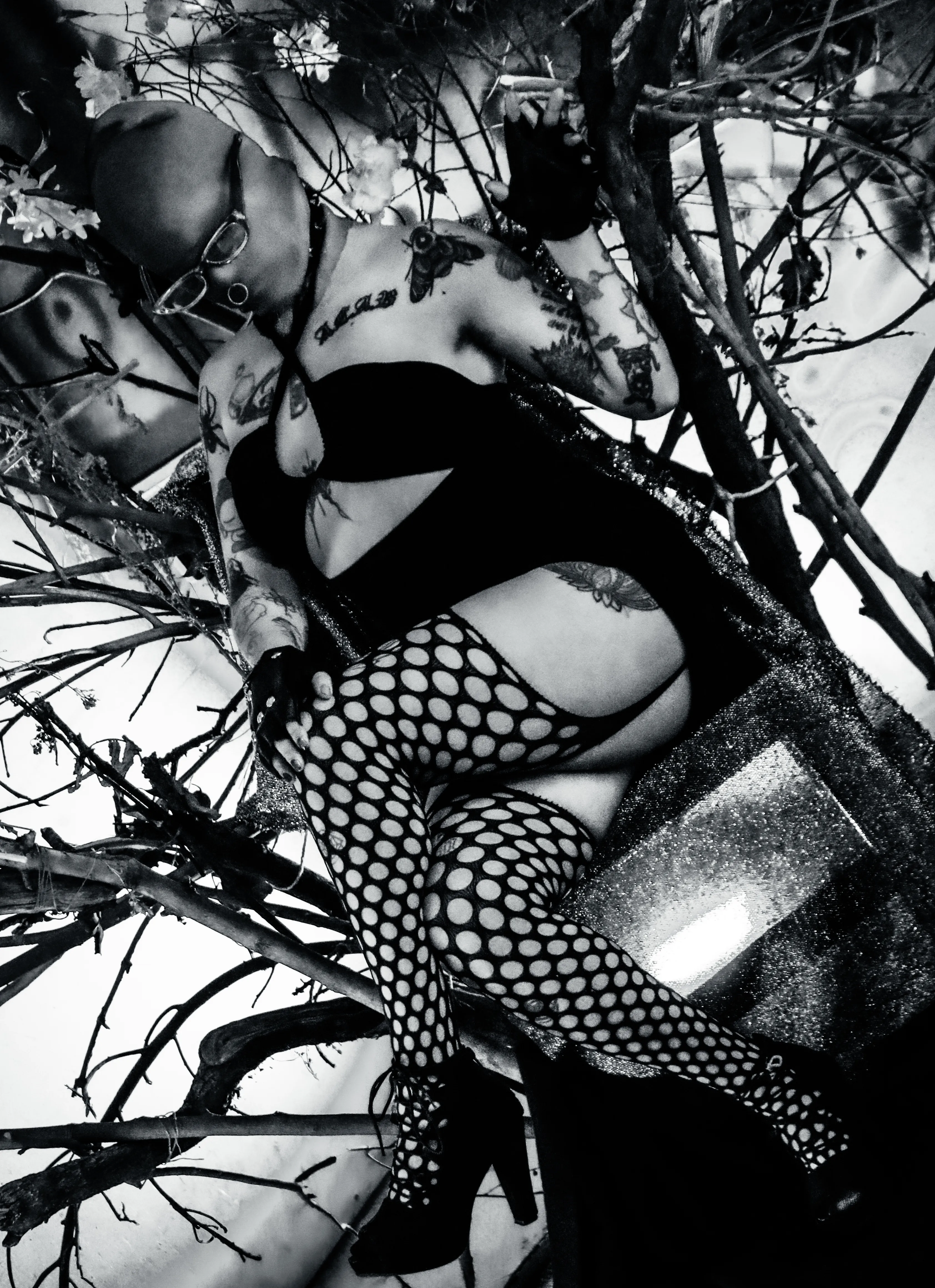 Live sex webcam photo for AmySpider #8005560