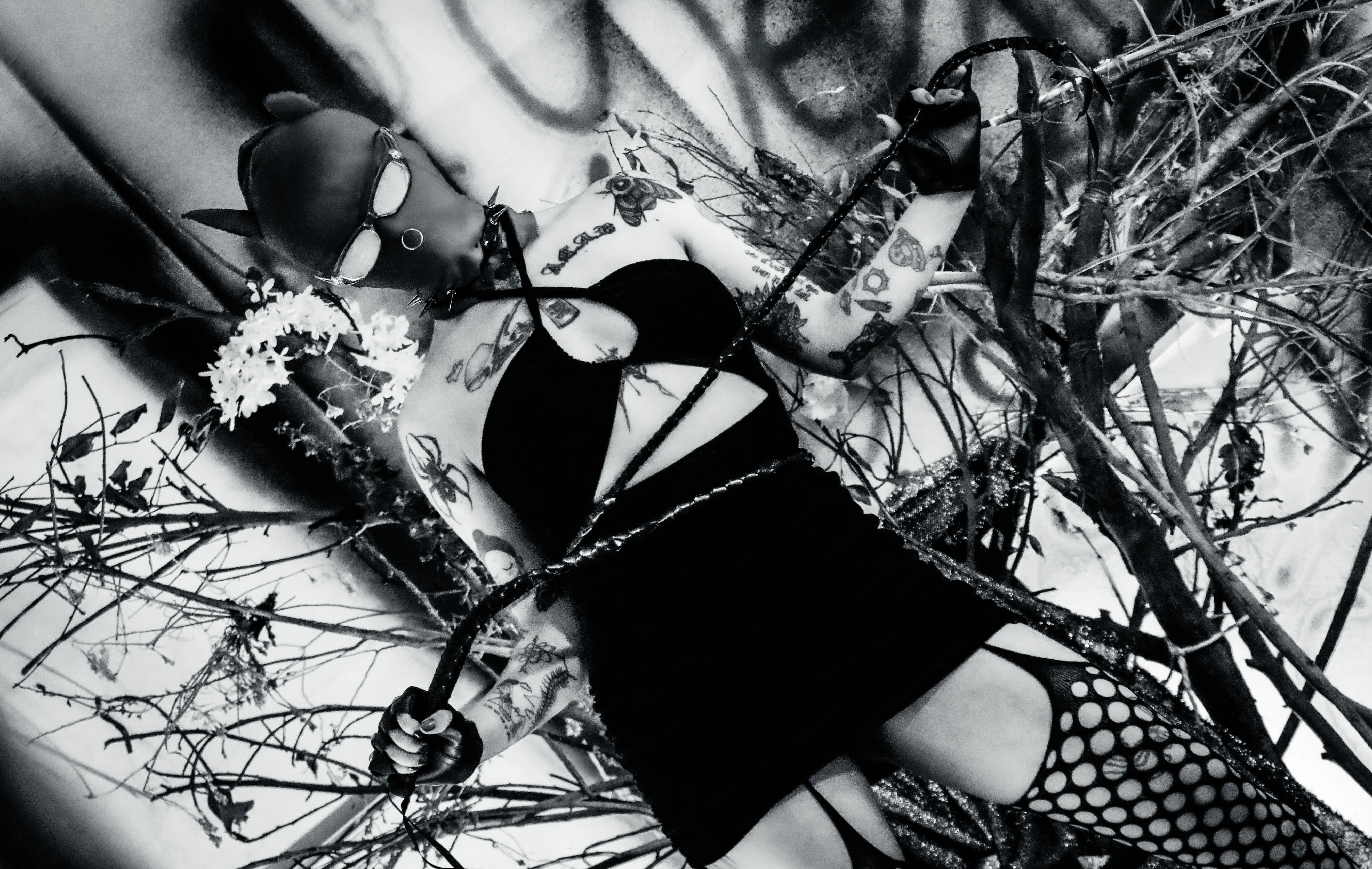 Live sex webcam photo for AmySpider #8005573