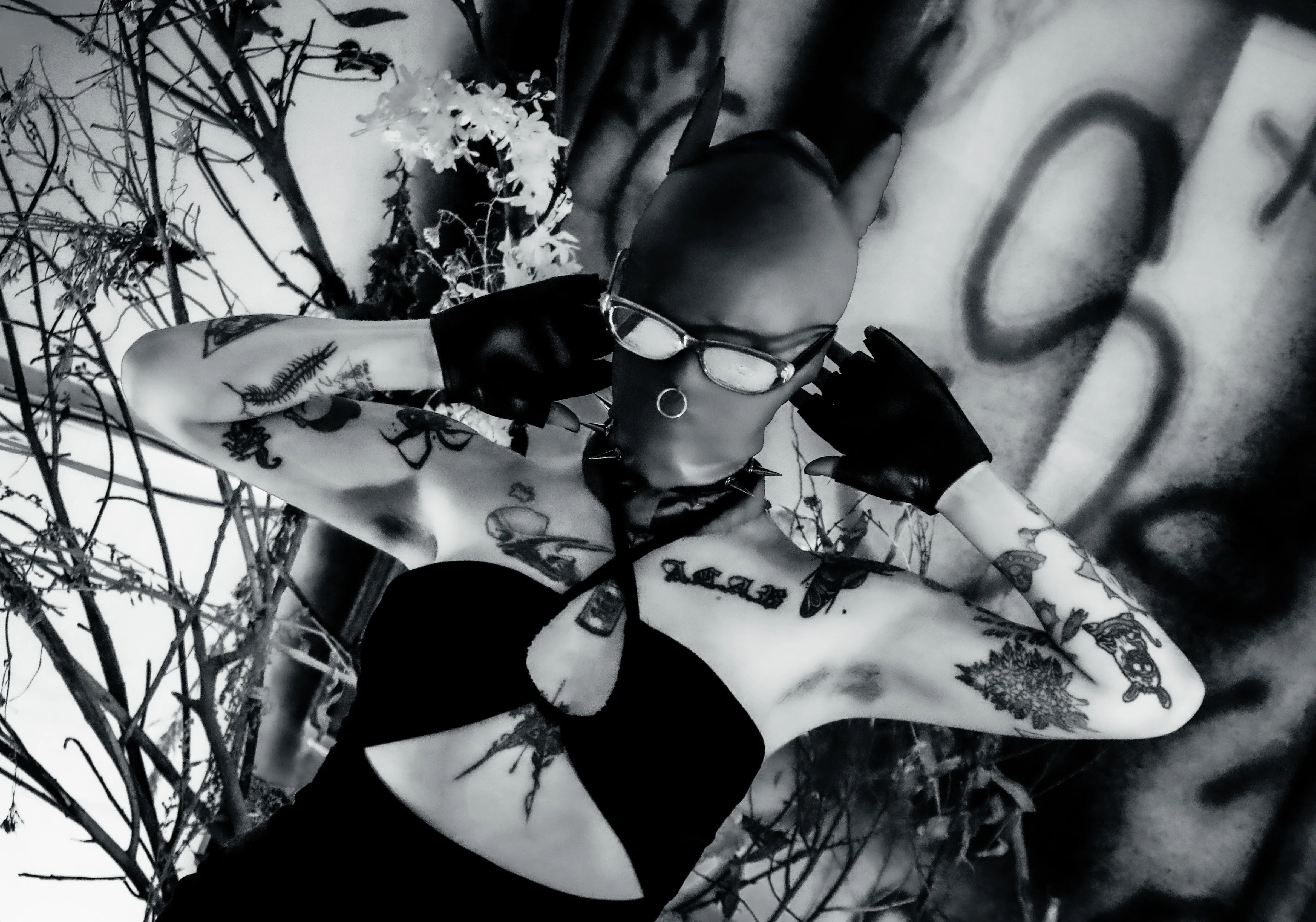 Live sex webcam photo for AmySpider #8005561