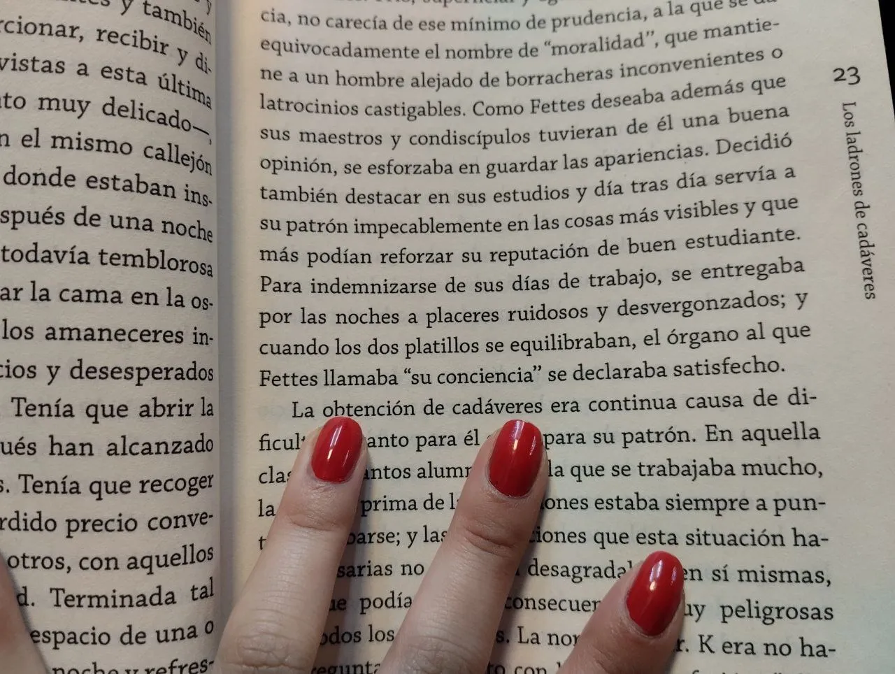 Live sex webcam photo for AmySpider #7316255