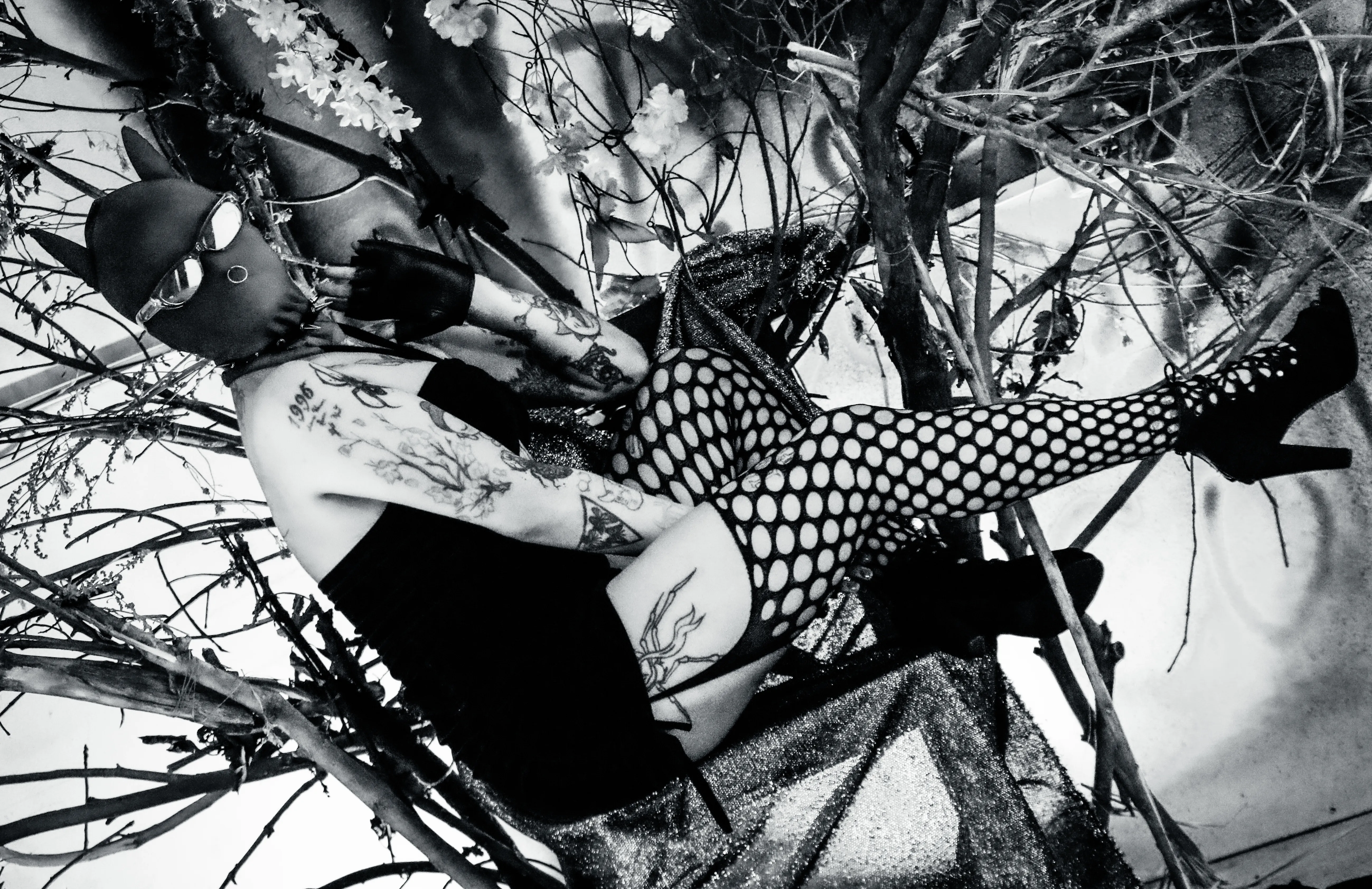 Live sex webcam photo for AmySpider #8005572