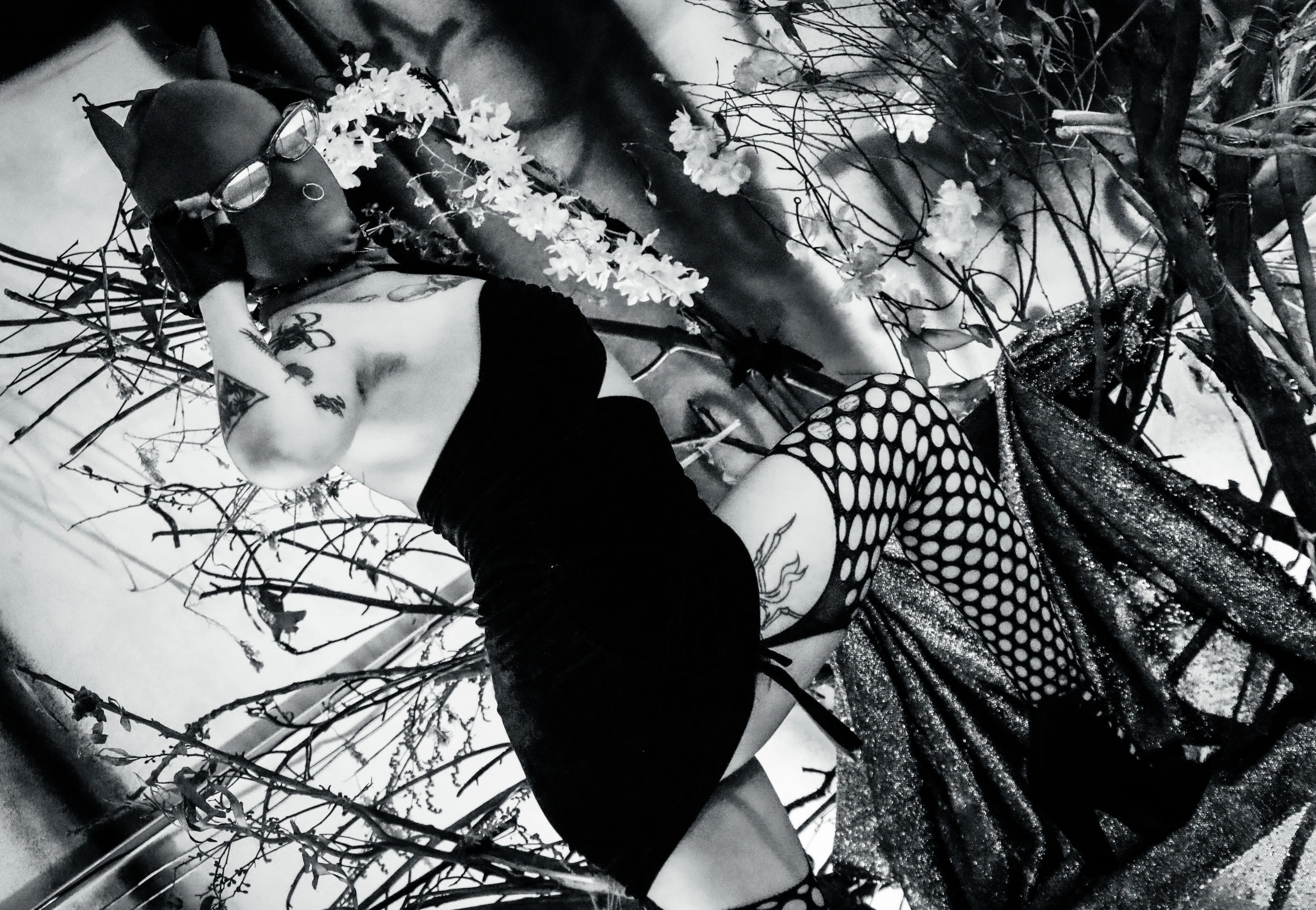 Live sex webcam photo for AmySpider #8005567