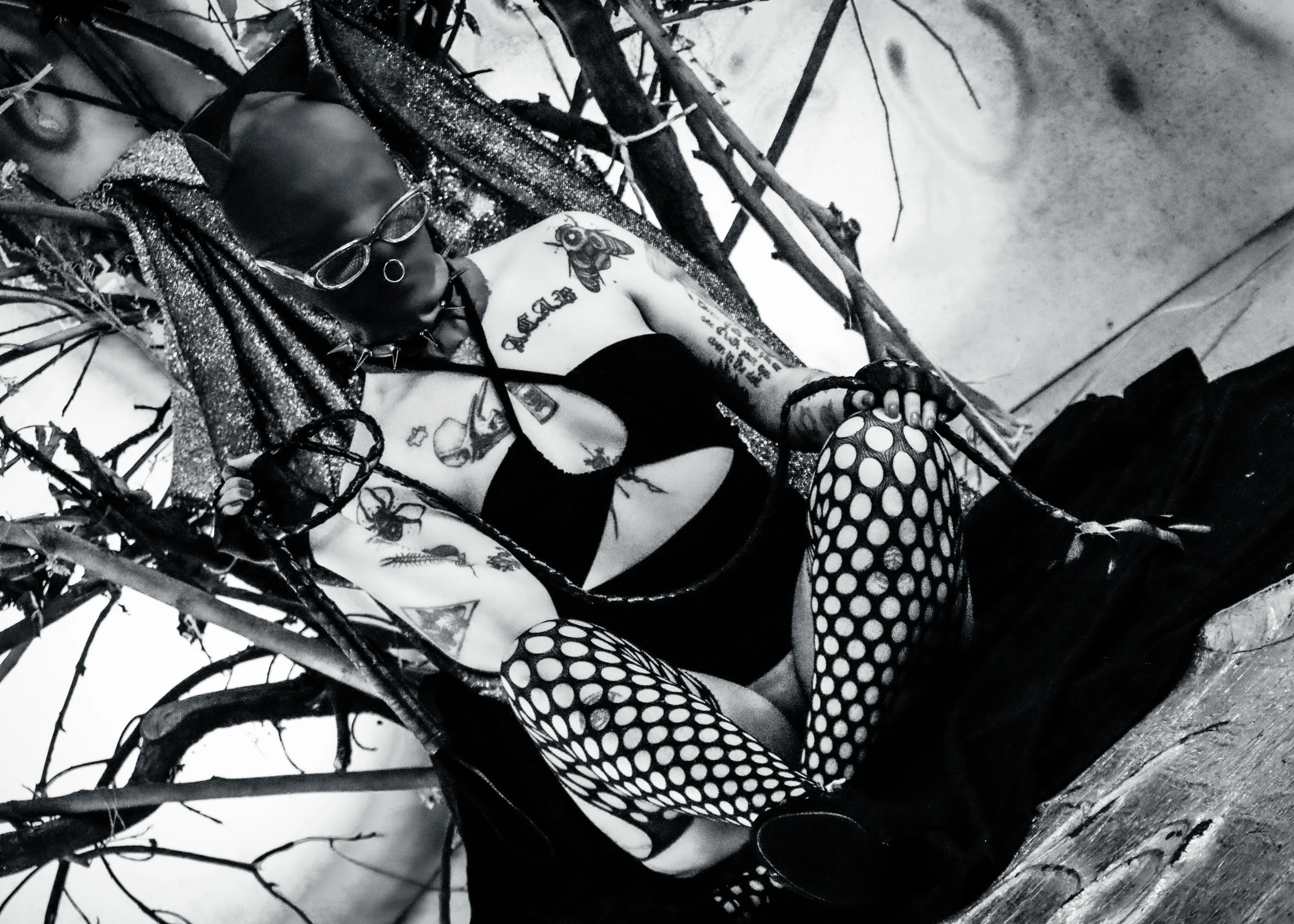 Live sex webcam photo for AmySpider #8005576